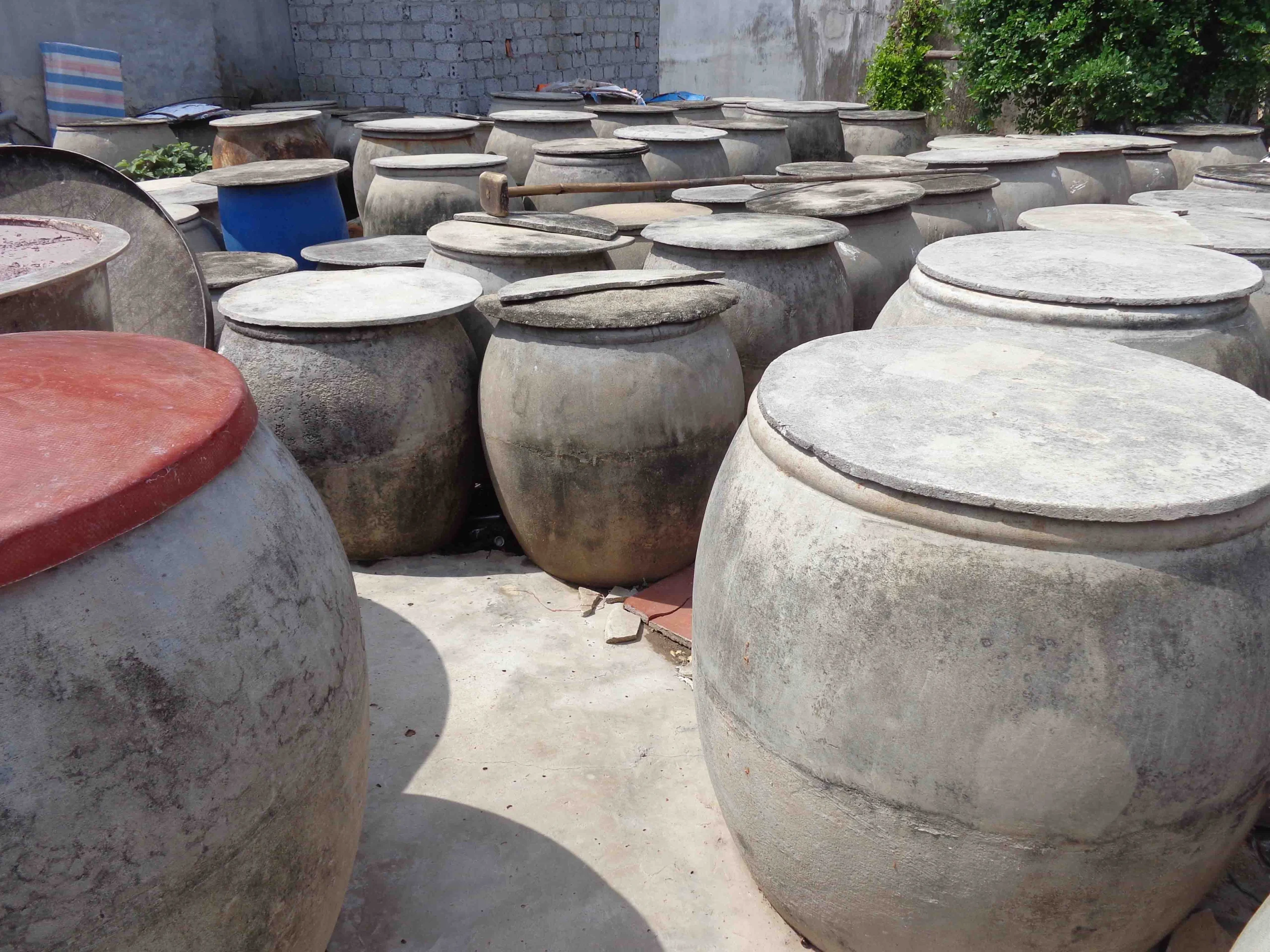 100+ Hình Ảnh Mắm Tôm 2026 Đẹp Nhất, Bạn Đã Xem Chưa? 100+ Hình Ảnh Mắm Tôm 2026 Đẹp Nhất, Bạn Đã Xem Chưa?
