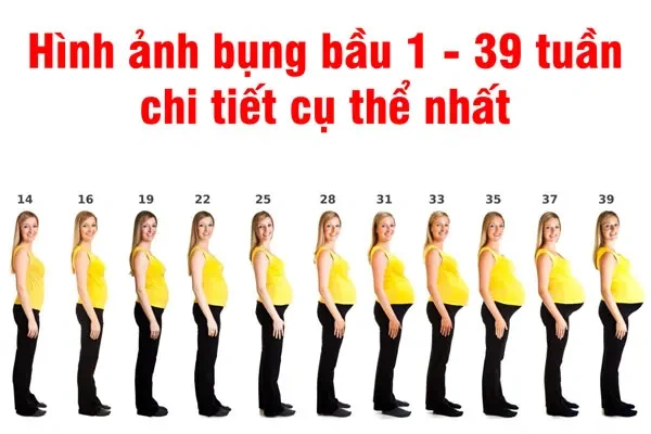 Hình Ảnh Mang Thai Bụng Dưới: Đặc Điểm, Nguyên Nhân Và Cách Nhận Biết Cho Mẹ Bầu Hình Ảnh Mang Thai Bụng Dưới: Đặc Điểm, Nguyên Nhân Và Cách Nhận Biết Cho Mẹ Bầu