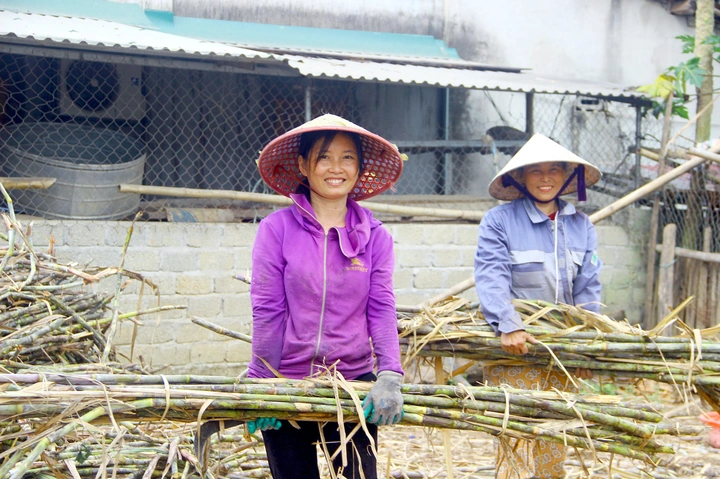 Hình Ảnh Mật Mía Tân Kỳ: Tất Cả Những Điều Bạn Cần Biết (dành Cho Người Yêu Ẩm Thực Việt & Du Lịch Văn Hóa) Hình Ảnh Mật Mía Tân Kỳ: Tất Cả Những Điều Bạn Cần Biết (dành Cho Người Yêu Ẩm Thực Việt & Du Lịch Văn Hóa)