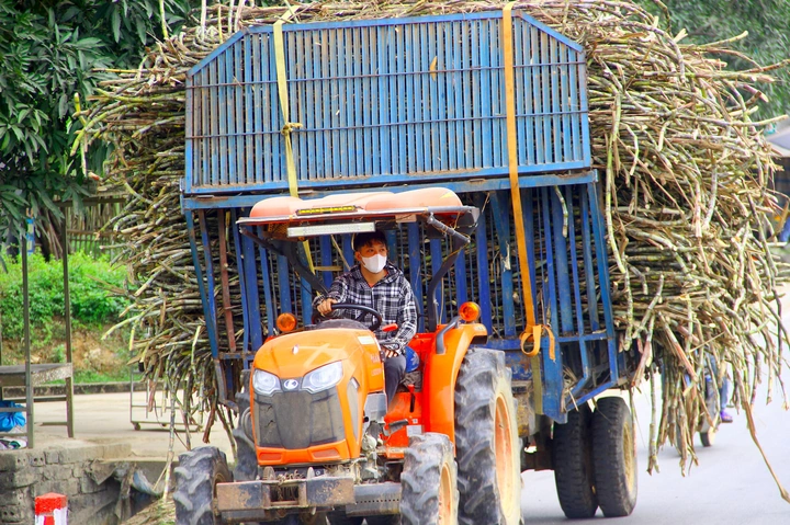 Hình Ảnh Mật Mía Tân Kỳ: Tất Cả Những Điều Bạn Cần Biết (dành Cho Người Yêu Ẩm Thực Việt & Du Lịch Văn Hóa) Hình Ảnh Mật Mía Tân Kỳ: Tất Cả Những Điều Bạn Cần Biết (dành Cho Người Yêu Ẩm Thực Việt & Du Lịch Văn Hóa)