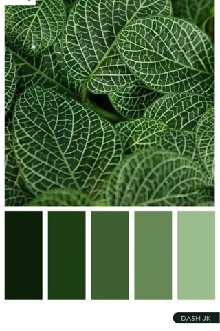 100+ Hình Ảnh Màu Xanh Rêu Đẹp Nhất 2026 – Bộ Sưu Tập Wallpaper, Avatar, Poster 100+ Hình Ảnh Màu Xanh Rêu Đẹp Nhất 2026 – Bộ Sưu Tập Wallpaper, Avatar, Poster