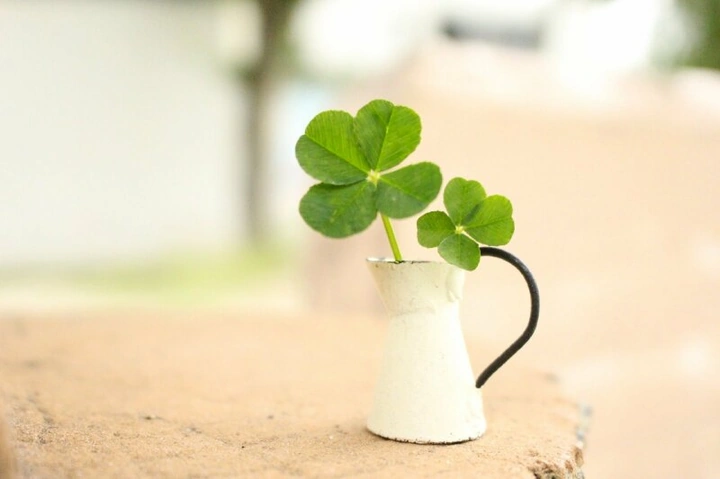 Hình Ảnh May Mắn Cho Mùa Thi: 100+ Đề Cập Được Học Sinh Yêu Thích Để Đạt Điểm Cao Hình Ảnh May Mắn Cho Mùa Thi: 100+ Đề Cập Được Học Sinh Yêu Thích Để Đạt Điểm Cao