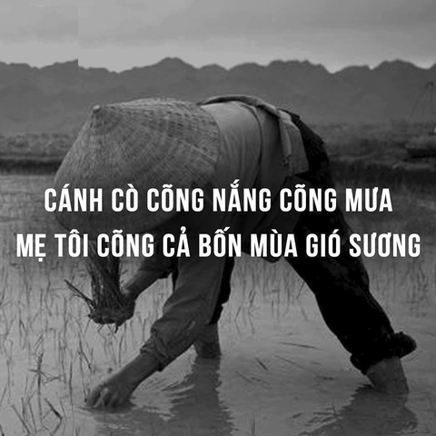 Hình Ảnh Mẹ Con Ý Nghĩa: Tải Về, Chia Sẻ & Cảm Hứng Cho Mọi Đời Hình Ảnh Mẹ Con Ý Nghĩa: Tải Về, Chia Sẻ & Cảm Hứng Cho Mọi Đời