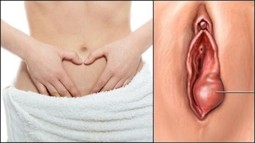 100+ Hình Ảnh Môi Bé Dài Đẹp Đầy Phong Cách 2026 – Bạn Đã Xem Chưa?