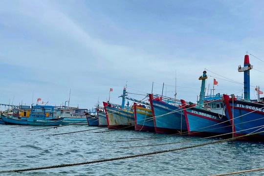 Hình Ảnh Mới Nhất Về Trường Sa – Bộ Sưu Tập Ảnh Chất Lượng Cao Dành Cho Người Yêu Thiên Nhiên Và Quân Sự