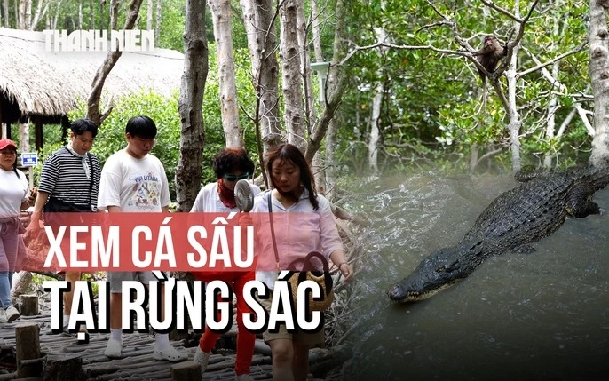 100+ Hình Ảnh Mom Sông Đẹp Nhất 2026 – Bộ Sưu Tập Đầy Đủ Cho Mọi Nhu Cầu 100+ Hình Ảnh Mom Sông Đẹp Nhất 2026 – Bộ Sưu Tập Đầy Đủ Cho Mọi Nhu Cầu