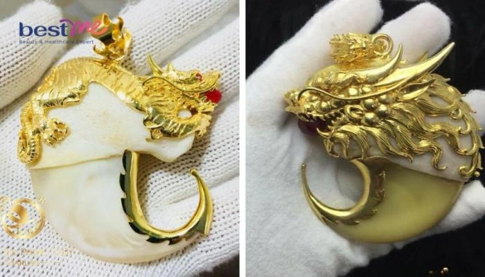 100+ Hình Ảnh Móng Cọp 2026 Đẹp Như Mơ, Bạn Đã Xem Chưa? 100+ Hình Ảnh Móng Cọp 2026 Đẹp Như Mơ, Bạn Đã Xem Chưa?