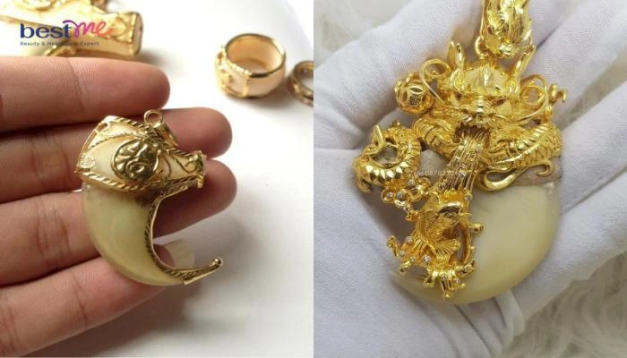 100+ Hình Ảnh Móng Cọp 2026 Đẹp Như Mơ, Bạn Đã Xem Chưa? 100+ Hình Ảnh Móng Cọp 2026 Đẹp Như Mơ, Bạn Đã Xem Chưa?