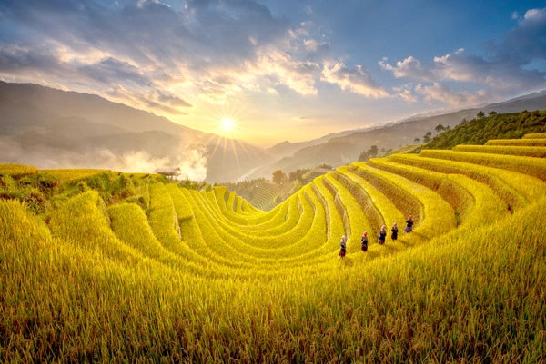 100+ Ảnh Mu Đẹp Full Hd 2026 – Bộ Sưu Tập Hình Ảnh Mu Đẹp Nhất, 100+ Hình Ảnh Mu Đẹp Siêu Đẹp Được Yêu Thích Năm 2026?