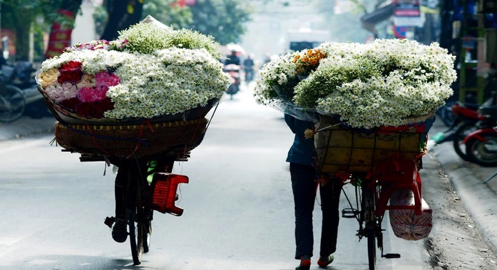 Hình Ảnh Mùa Đông Hà Nội Đẹp Nhất 2026 – Bộ Sưu Tập Độc Đáo Dành Cho Người Yêu Du Lịch & Nhiếp Ảnh Hình Ảnh Mùa Đông Hà Nội Đẹp Nhất 2026 – Bộ Sưu Tập Độc Đáo Dành Cho Người Yêu Du Lịch & Nhiếp Ảnh