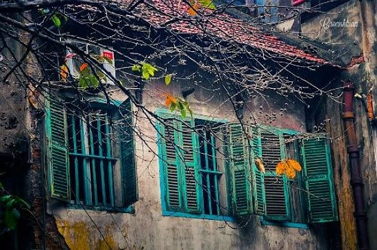 Hình Ảnh Mùa Đông Hà Nội Đẹp Nhất 2026 – Bộ Sưu Tập Độc Đáo Dành Cho Người Yêu Du Lịch & Nhiếp Ảnh Hình Ảnh Mùa Đông Hà Nội Đẹp Nhất 2026 – Bộ Sưu Tập Độc Đáo Dành Cho Người Yêu Du Lịch & Nhiếp Ảnh