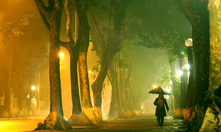 Hình Ảnh Mùa Đông Hà Nội Đẹp Nhất 2026 – Bộ Sưu Tập Độc Đáo Dành Cho Người Yêu Du Lịch & Nhiếp Ảnh Hình Ảnh Mùa Đông Hà Nội Đẹp Nhất 2026 – Bộ Sưu Tập Độc Đáo Dành Cho Người Yêu Du Lịch & Nhiếp Ảnh
