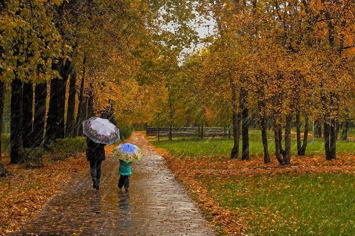 100+ Hình Ảnh Mưa Mùa Thu 2026 - Bộ Sưu Tập Wallpaper, Avatar, Đặt Nền Siêu Đẹp