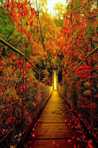 100+ Hình Ảnh Mưa Mùa Thu 2026 - Bộ Sưu Tập Wallpaper, Avatar, Đặt Nền Siêu Đẹp