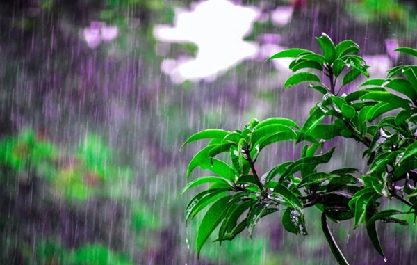 Tải Về Hình Ảnh Mưa Rào Mùa Hè Miễn Phí – Bộ Sưu Tập Đầy Đủ Cho Giáo Viên & Học Sinh