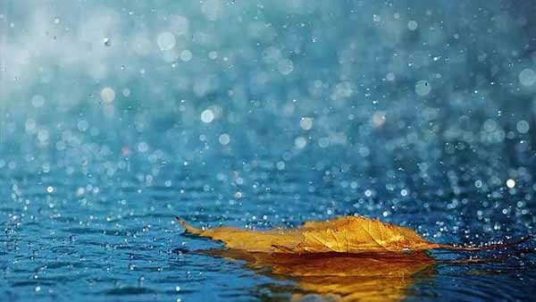 Tải Về Hình Ảnh Mưa Rào Mùa Hè Miễn Phí – Bộ Sưu Tập Đầy Đủ Cho Giáo Viên & Học Sinh