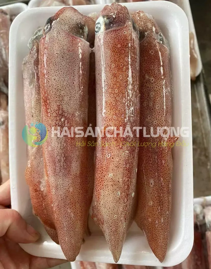 100+ Hình Ảnh Mực Mai 2026 Đẹp Nhất, Siêu Độ Phân Giải, Dễ Dàng Tải Về 100+ Hình Ảnh Mực Mai 2026 Đẹp Nhất, Siêu Độ Phân Giải, Dễ Dàng Tải Về