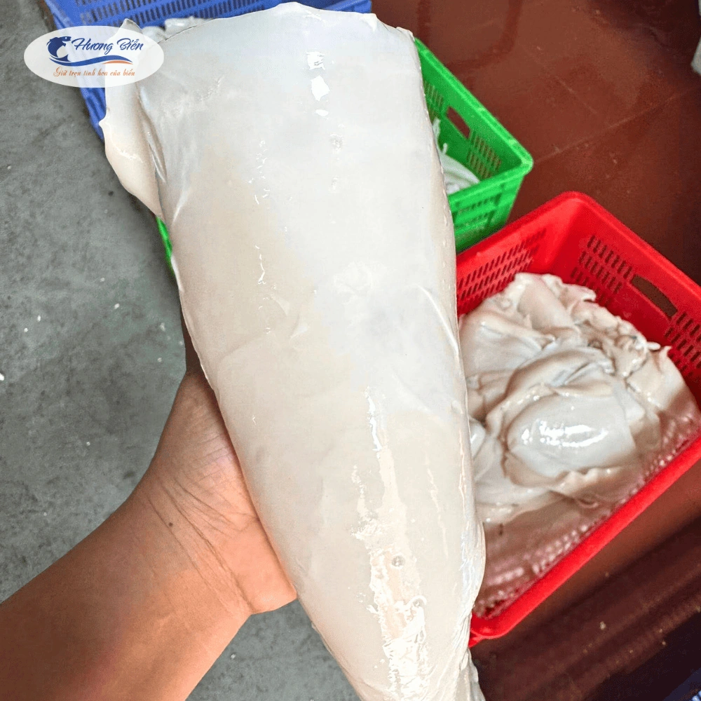 100+ Hình Ảnh Mực Mai 2026 Đẹp Nhất, Siêu Độ Phân Giải, Dễ Dàng Tải Về 100+ Hình Ảnh Mực Mai 2026 Đẹp Nhất, Siêu Độ Phân Giải, Dễ Dàng Tải Về
