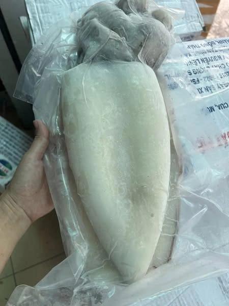 100+ Hình Ảnh Mực Mai 2026 Đẹp Nhất, Siêu Độ Phân Giải, Dễ Dàng Tải Về 100+ Hình Ảnh Mực Mai 2026 Đẹp Nhất, Siêu Độ Phân Giải, Dễ Dàng Tải Về