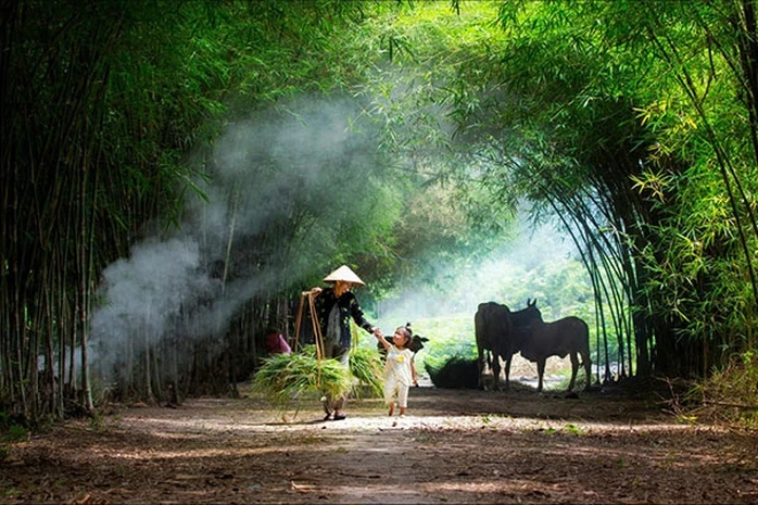 Tải Ngay Bộ Sưu Tập “hình Ảnh Muốn Được Bình Yên” – Dành Cho Người Tìm Kiếm Cảm Giác Thư Thái & An Lành