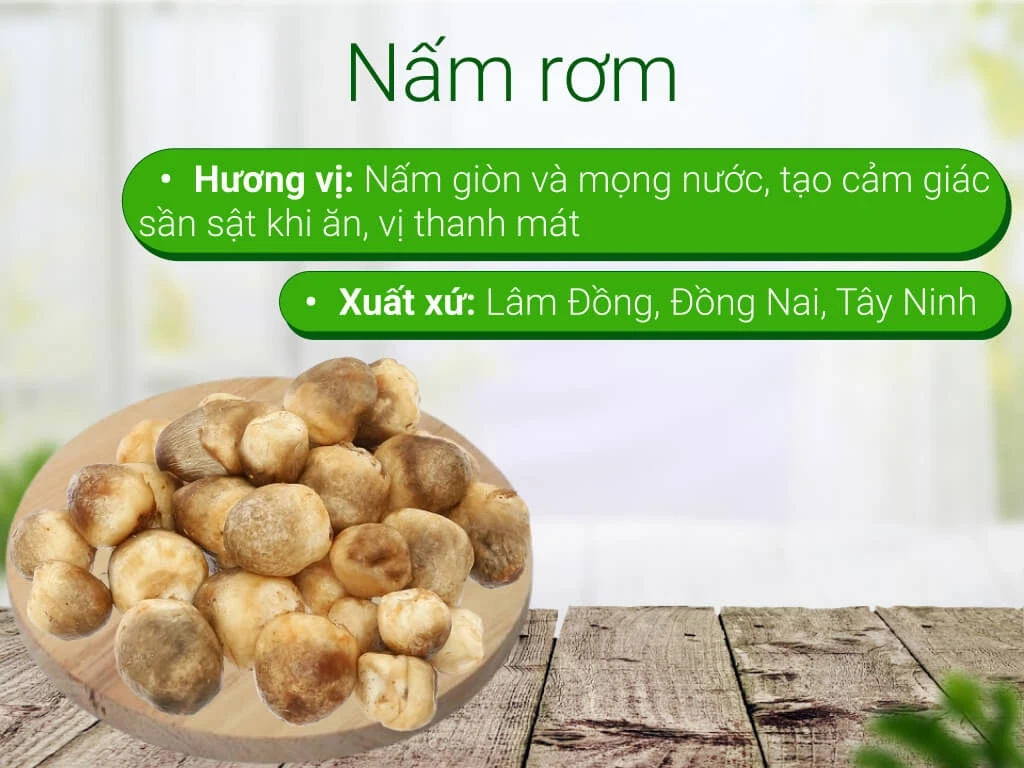 100+ Hình Ảnh Nấm Rơm Đẹp 2026 – Bộ Sưu Tập Wallpaper, Avatar, Hình Nền Sáng Tạo 100+ Hình Ảnh Nấm Rơm Đẹp 2026 – Bộ Sưu Tập Wallpaper, Avatar, Hình Nền Sáng Tạo