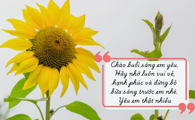 Tải Ngay 100+ Hình Ảnh Ngày Mới Hạnh Phúc – Bộ Sưu Tập Đầy Năng Lượng Cho Người Yêu & Bạn Bè Tải Ngay 100+ Hình Ảnh Ngày Mới Hạnh Phúc – Bộ Sưu Tập Đầy Năng Lượng Cho Người Yêu & Bạn Bè