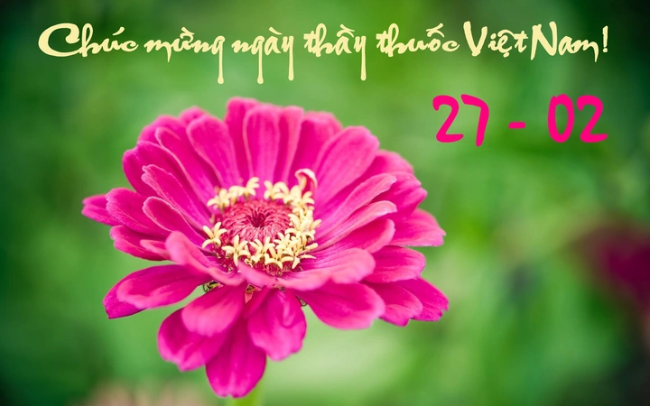Tải Ngay Bộ Sưu Tập Hình Ảnh Ngày Thầy Thuốc Việt Nam 2026 – Dành Cho Bác Sĩ, Y Tá & Người Yêu Nghề Y Tải Ngay Bộ Sưu Tập Hình Ảnh Ngày Thầy Thuốc Việt Nam 2026 – Dành Cho Bác Sĩ, Y Tá & Người Yêu Nghề Y