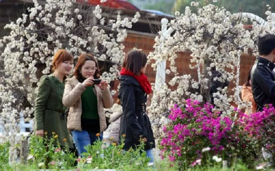 100+ Hình Ảnh Ngày Xuân 2026 Đẹp Nhất, 100+ Bức Ảnh Tết Sắc Màu? 100+ Hình Ảnh Ngày Xuân 2026 Đẹp Nhất, 100+ Bức Ảnh Tết Sắc Màu?