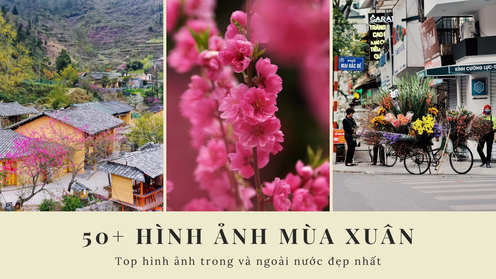 100+ Hình Ảnh Ngày Xuân 2026 Đẹp Nhất, 100+ Bức Ảnh Tết Sắc Màu? 100+ Hình Ảnh Ngày Xuân 2026 Đẹp Nhất, 100+ Bức Ảnh Tết Sắc Màu?