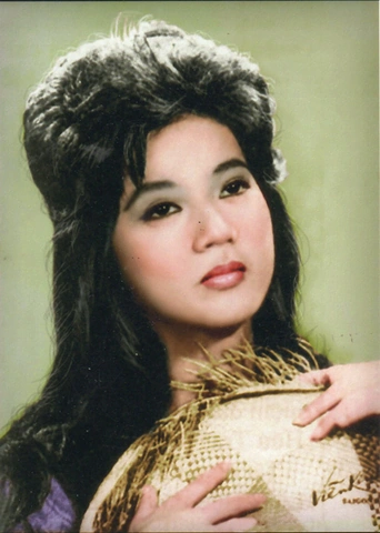 Hình Ảnh Nghệ Sĩ Thanh Nga: Bộ Sưu Tập Hiếm, Câu Chuyện Đằng Sau & Tầm Ảnh Hưởng Đối Với Cải Lương (dành Cho Người Yêu Thế Giới Nghệ Thuật Việt)