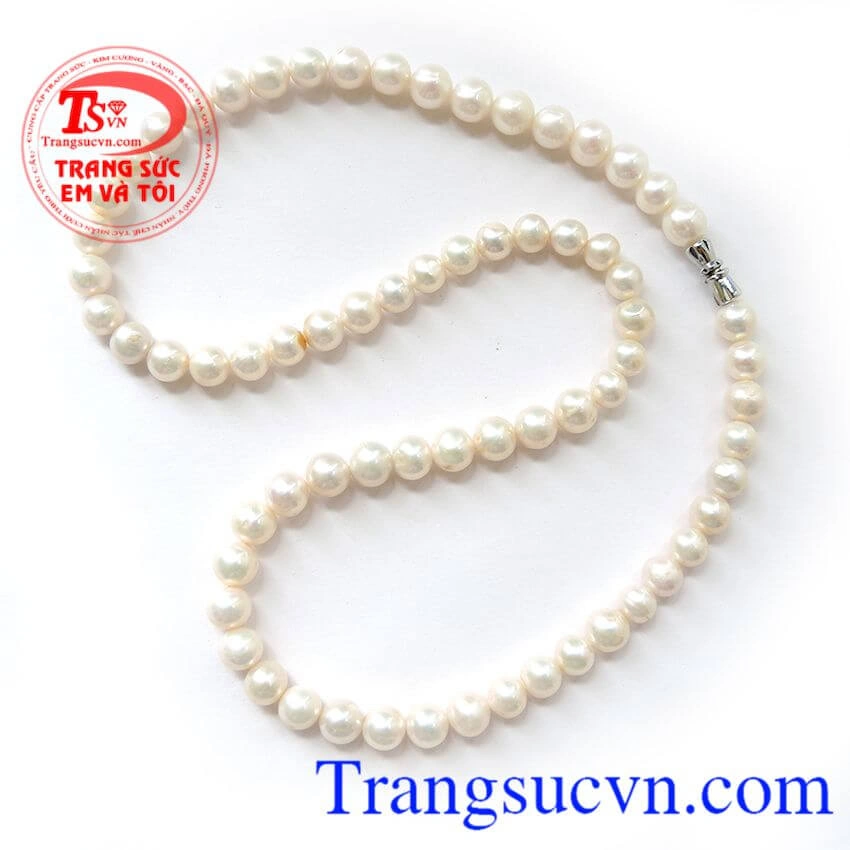 100+ Hình Ảnh Ngọc Trai Đẹp Lung Linh 2026 – Bộ Sưu Tập Đầy Đủ Mà Bạn Không Thể Bỏ Lỡ