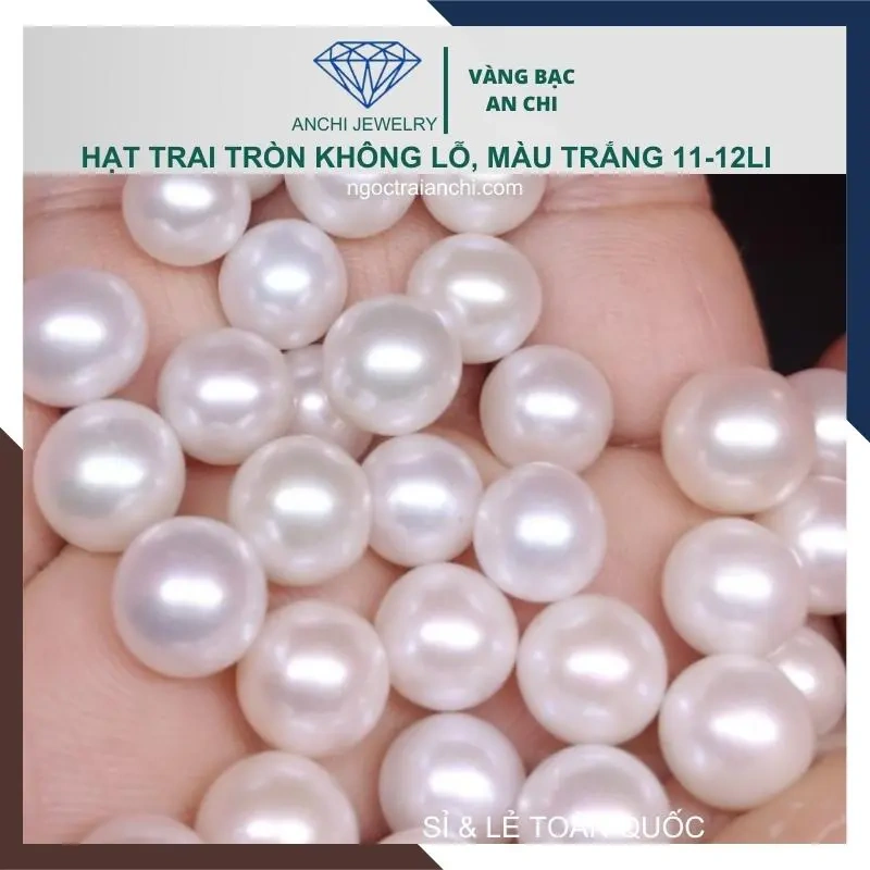 100+ Hình Ảnh Ngọc Trai Đẹp Lung Linh 2026 – Bộ Sưu Tập Đầy Đủ Mà Bạn Không Thể Bỏ Lỡ