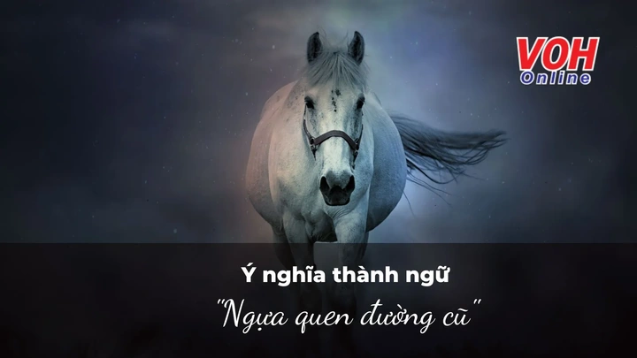Hình Ảnh Ngựa Quen Đường Cũ: Ý Nghĩa, Nguồn Gốc & Ứng Dụng Trong Văn Hoá Việt Nam Hình Ảnh Ngựa Quen Đường Cũ: Ý Nghĩa, Nguồn Gốc & Ứng Dụng Trong Văn Hoá Việt Nam