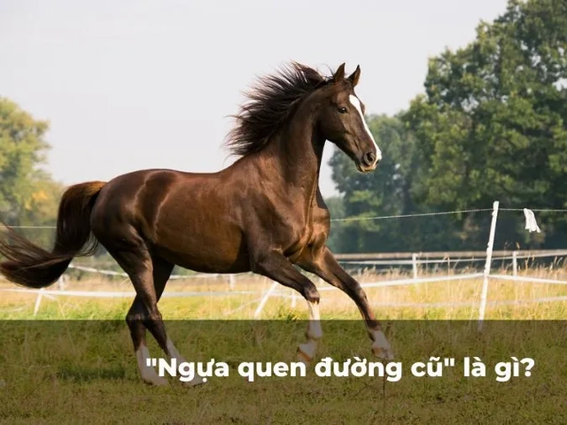 Hình Ảnh Ngựa Quen Đường Cũ: Ý Nghĩa, Nguồn Gốc & Ứng Dụng Trong Văn Hoá Việt Nam Hình Ảnh Ngựa Quen Đường Cũ: Ý Nghĩa, Nguồn Gốc & Ứng Dụng Trong Văn Hoá Việt Nam