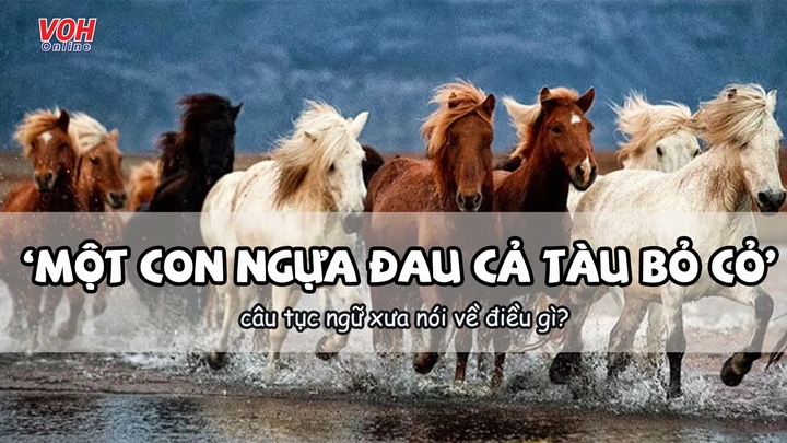 Hình Ảnh Ngựa Quen Đường Cũ: Ý Nghĩa, Nguồn Gốc & Ứng Dụng Trong Văn Hoá Việt Nam Hình Ảnh Ngựa Quen Đường Cũ: Ý Nghĩa, Nguồn Gốc & Ứng Dụng Trong Văn Hoá Việt Nam