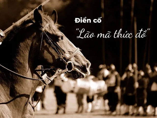 Hình Ảnh Ngựa Quen Đường Cũ: Ý Nghĩa, Nguồn Gốc & Ứng Dụng Trong Văn Hoá Việt Nam Hình Ảnh Ngựa Quen Đường Cũ: Ý Nghĩa, Nguồn Gốc & Ứng Dụng Trong Văn Hoá Việt Nam