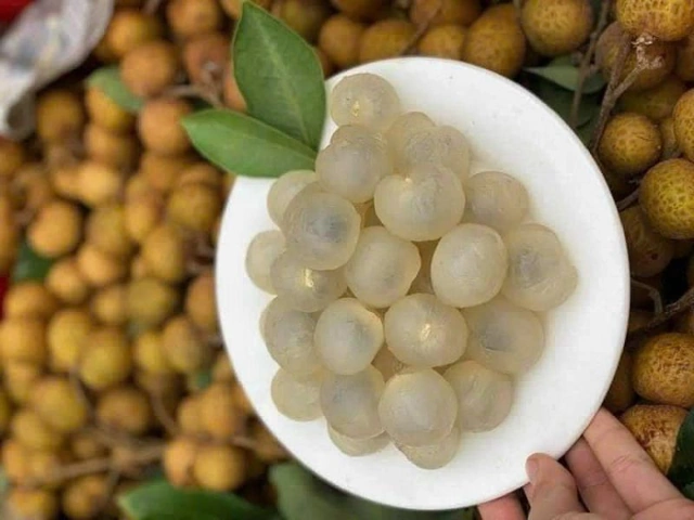 Hình Ảnh Nhãn Lồng Hưng Yên: Tập Hợp Toàn Bộ Ảnh Đẹp, Lịch Sử, Đặc Điểm Và Cách Tận Hưởng