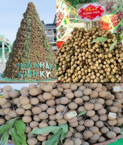 Hình Ảnh Nhãn Lồng Hưng Yên: Tập Hợp Toàn Bộ Ảnh Đẹp, Lịch Sử, Đặc Điểm Và Cách Tận Hưởng