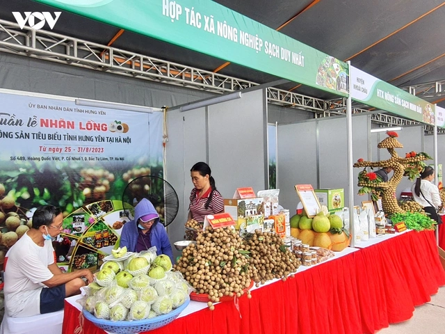 Hình Ảnh Nhãn Lồng Hưng Yên: Tập Hợp Toàn Bộ Ảnh Đẹp, Lịch Sử, Đặc Điểm Và Cách Tận Hưởng