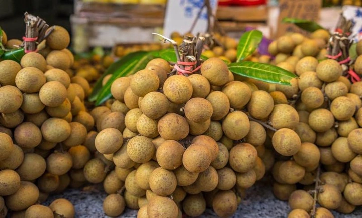 Hình Ảnh Nhãn Lồng Hưng Yên: Tập Hợp Toàn Bộ Ảnh Đẹp, Lịch Sử, Đặc Điểm Và Cách Tận Hưởng