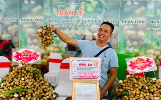 Hình Ảnh Nhãn Lồng Hưng Yên: Tập Hợp Toàn Bộ Ảnh Đẹp, Lịch Sử, Đặc Điểm Và Cách Tận Hưởng