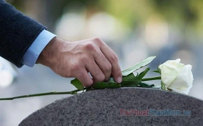 100+ Hình Ảnh Nhớ Nhung 2026 – Bạn Đã Xem Những Khoảnh Khắc Đầy Cảm Xúc Chưa? 100+ Hình Ảnh Nhớ Nhung 2026 – Bạn Đã Xem Những Khoảnh Khắc Đầy Cảm Xúc Chưa?