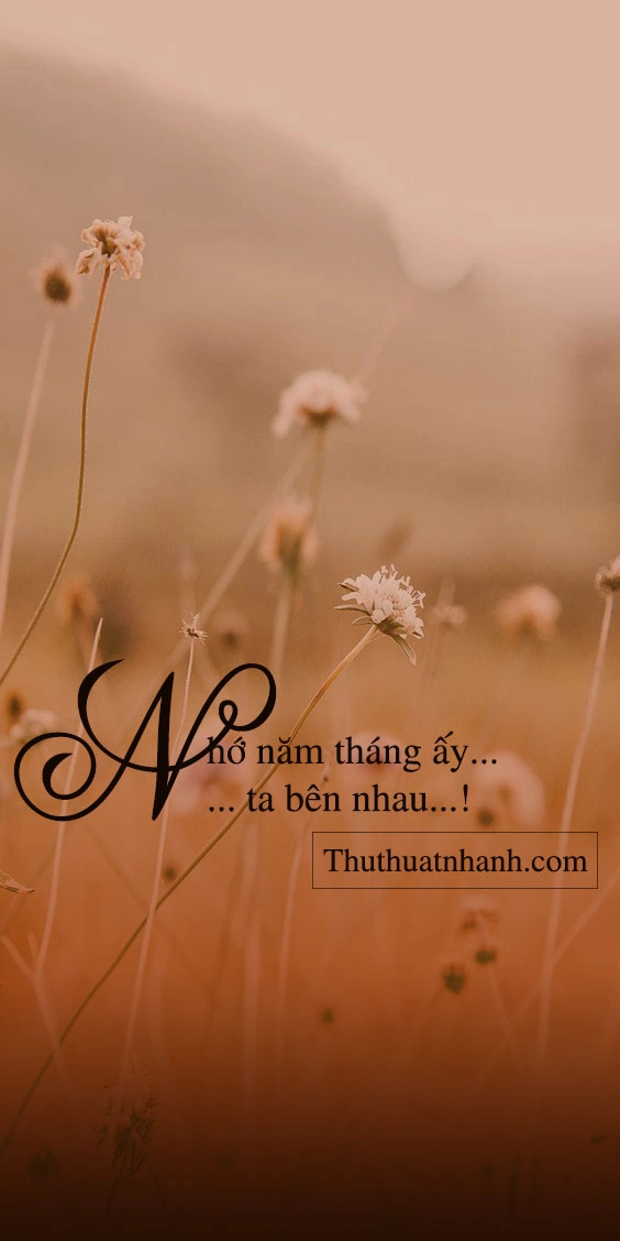 100+ Hình Ảnh Nhớ Nhung 2026 – Bạn Đã Xem Những Khoảnh Khắc Đầy Cảm Xúc Chưa? 100+ Hình Ảnh Nhớ Nhung 2026 – Bạn Đã Xem Những Khoảnh Khắc Đầy Cảm Xúc Chưa?