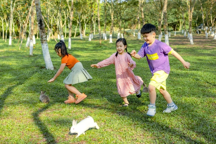 Tải Ngay 100+ Hình Ảnh Đáng Yêu Của Trẻ Em – Bộ Sưu Tập Miễn Phí Dành Cho Cha Mẹ & Người Yêu Thiết Kế Tải Ngay 100+ Hình Ảnh Đáng Yêu Của Trẻ Em – Bộ Sưu Tập Miễn Phí Dành Cho Cha Mẹ & Người Yêu Thiết Kế