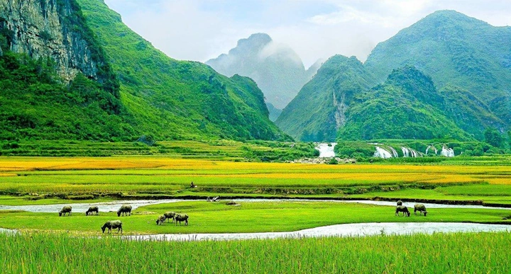 100+ Hình Ảnh Núi Việt Nam Đẹp Nhất 2026 – Bộ Sưu Tập Đầy Đặn Cho Mọi Nhu Cầu Sử Dụng