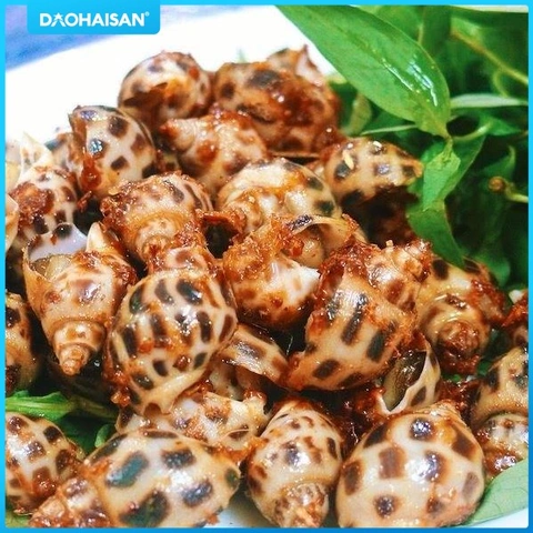 Xem Hình Ảnh Ốc Hương Xào Me – Bộ Sưu Tập Ảnh Ngon Tuyệt Cho Người Yêu Ẩm Thực Việt Xem Hình Ảnh Ốc Hương Xào Me – Bộ Sưu Tập Ảnh Ngon Tuyệt Cho Người Yêu Ẩm Thực Việt