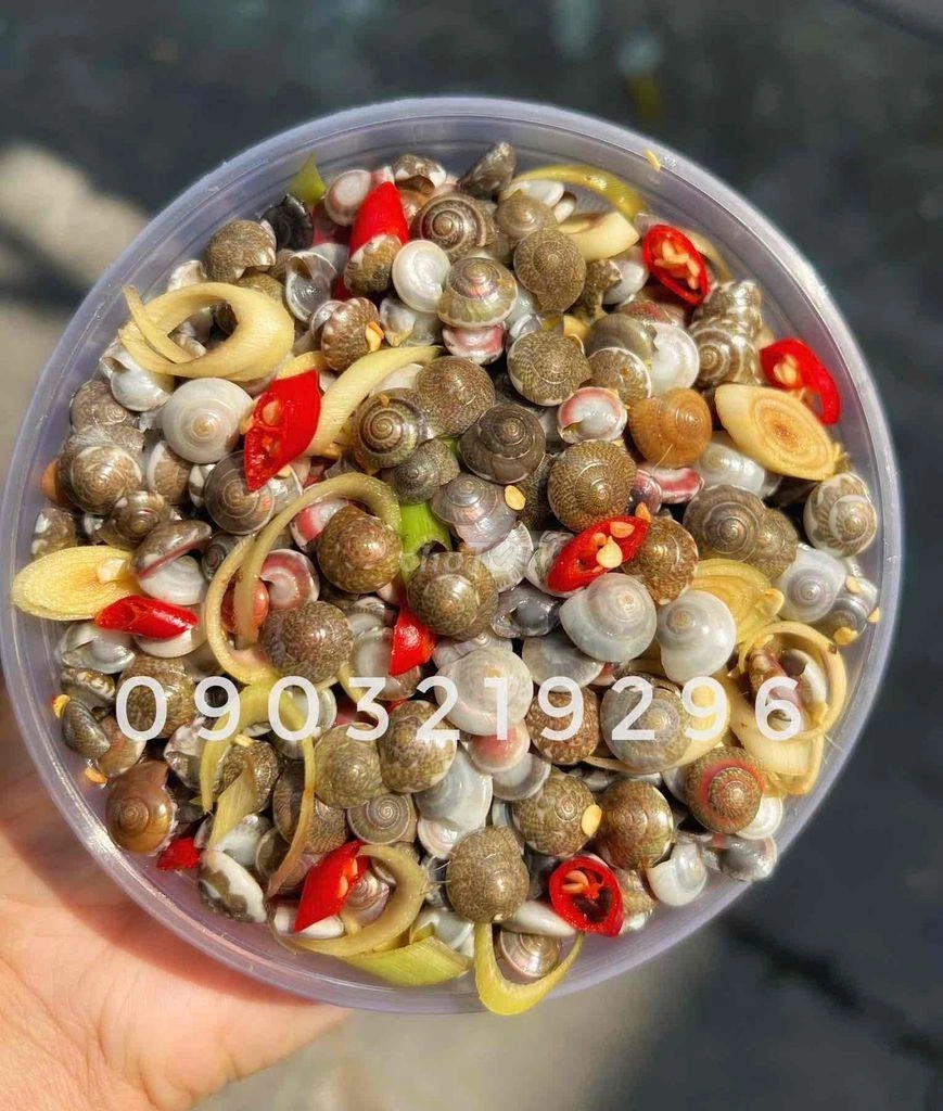 100+ Hình Ảnh Ốc Ruốc Đẹp 2026 - Wallpaper, Avatar, Nền