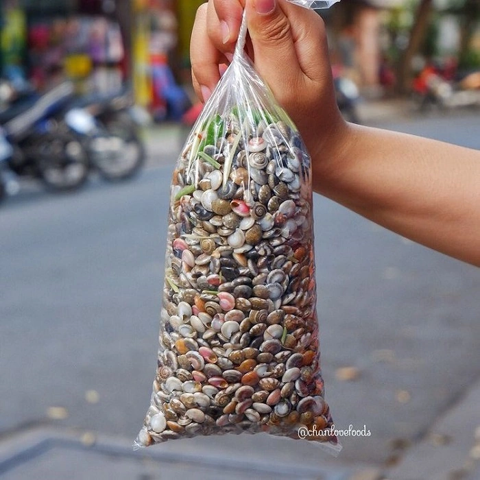 100+ Hình Ảnh Ốc Ruốc Đẹp 2026 - Wallpaper, Avatar, Nền