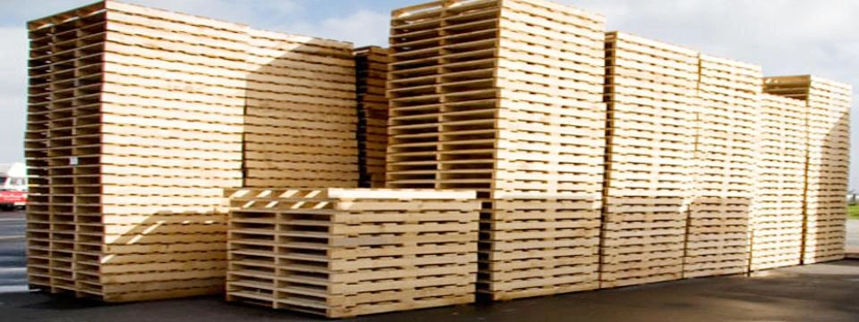 100+ Hình Ảnh Pallet Gỗ 2026 – Bộ Sưu Tập Đẹp Nhất, Đầy Đủ 100+ Hình Ảnh Pallet Gỗ 2026 – Bộ Sưu Tập Đẹp Nhất, Đầy Đủ