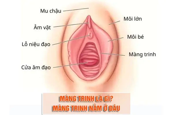 100+ Hình Ảnh Phá Trinh Độc Quyền 2026 – Bộ Sưu Tập Đẹp Nhất, Đầy Đủ Mọi Phong Cách Bạn Muốn, 100+ Bức Ảnh Siêu Sắc Nét Cho Dự Án Sáng Tạo Của Bạn 100+ Hình Ảnh Phá Trinh Độc Quyền 2026 – Bộ Sưu Tập Đẹp Nhất, Đầy Đủ Mọi Phong Cách Bạn Muốn, 100+ Bức Ảnh Siêu Sắc Nét Cho Dự Án Sáng Tạo Của Bạn